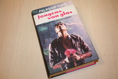 9789044505931 . Titel:  Jongens van glas