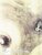 9780878464395 . Titel:  Tales from the Land of Dragons: One Thousand Years of Chinese Painting