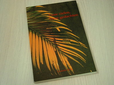 Dolk, Liesbeth - Twee zielen, twee gedachten - Tijdschriften en intellectuelen op Java (1900-1957).