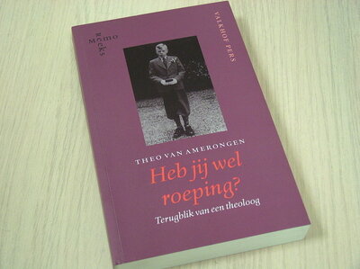 Amerongen, Th. van - Heb jij wel roeping ? - terugblik van een theoloog